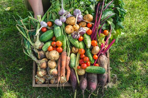 fruits and vegetables