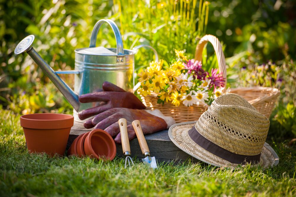 garden life