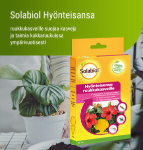 Solabiol® Hyönteisansa ruukkukasveille